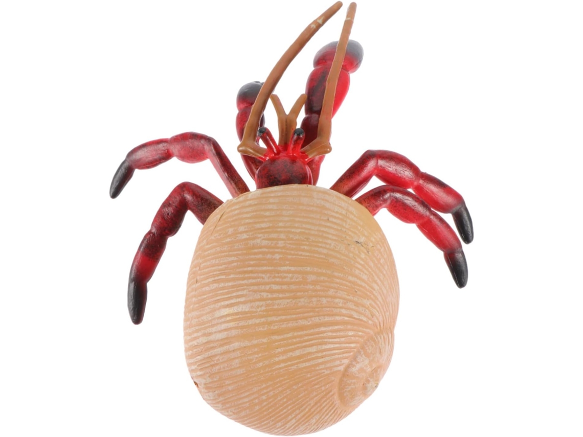 Figura En Miniatura De Cangrejo Ermitaño De Pvc Realista Para Niños Y Niñas.