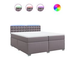Maison Exclusive - Cama Box Spring Con Colchón Cuero Sintético Gris 200x200 Cm