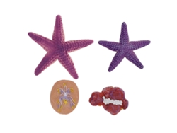 Figuras De Estrellas De Mar Simuladas, Juguete Educativo, Animal Marino Decorativo De Pvc Para Niños De 3 Años En Adelante.