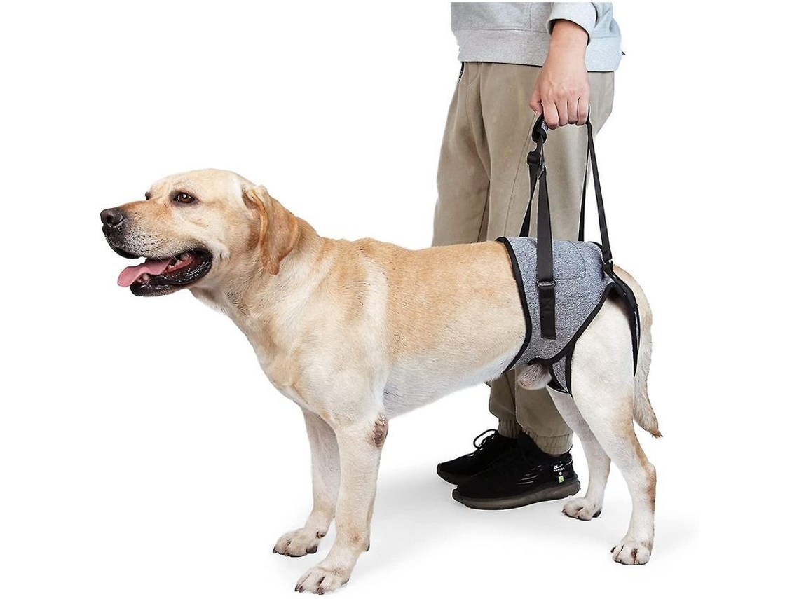 2026-funda Para Perros Grandes Con Soporte De Patas Traseras Para Rehabilitación De Perros Mayores Con Debilidad O Discapacidades En Las Patas