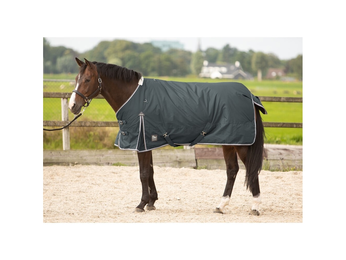 Manta para caballos de exterior Harry's Horse Thor 300