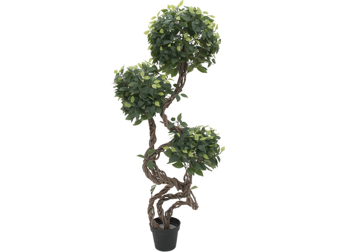 Planta Artificial EUROPALMS Ficus Spiral Trunk (Verde - 160 cm)