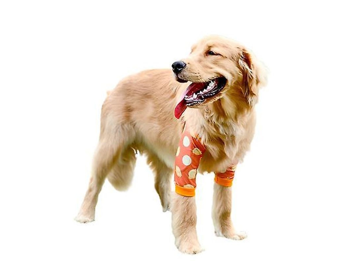 2026-protector De Codo Para Perros Medianos Y Grandes, Rodilleras Antidesgaste, Ropa Para Mascotas Con Protección Articular