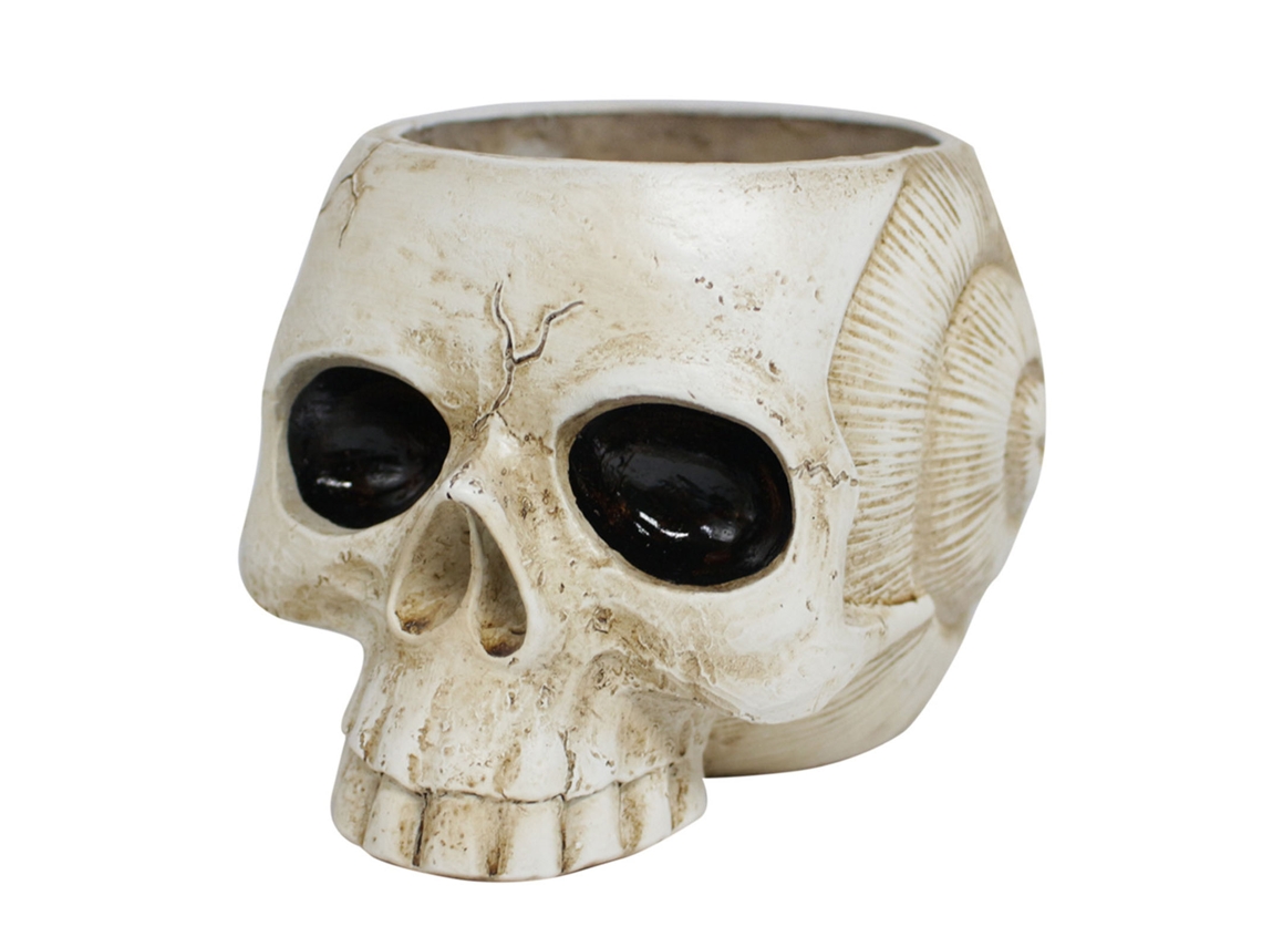 Jarrón Gótico Con Forma De Calavera Para Suculentas - Decoración Para El Hogar Y La Oficina