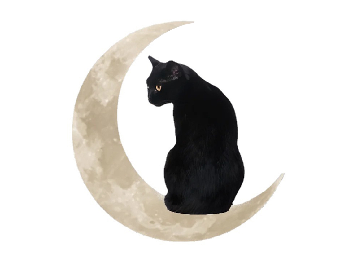 Placa Decorativa De Metal Galvanizado Con Diseño De Gato En La Luna Para Pared, 30x30cm