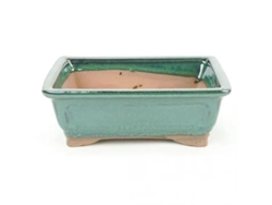 Maceta bonsai ceramica verde n3 14x9 cm