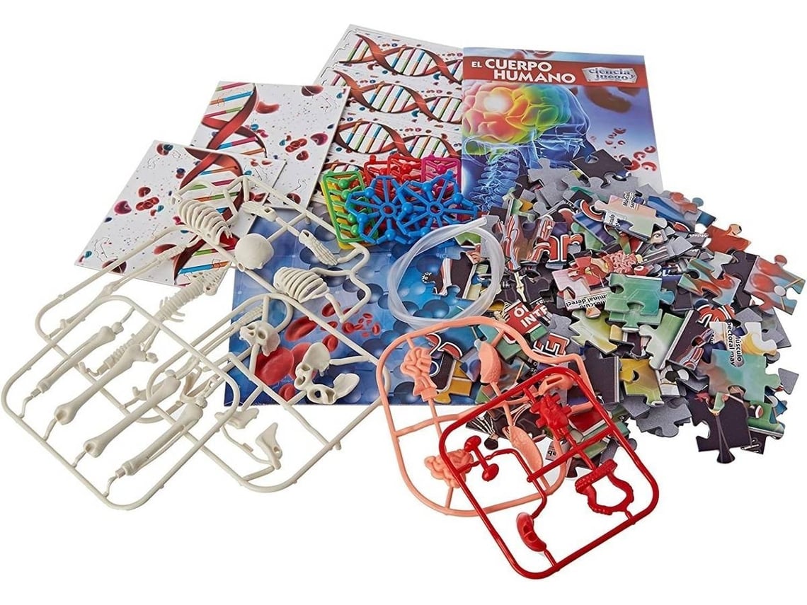 Juego el cuerpo humano clementoni shop