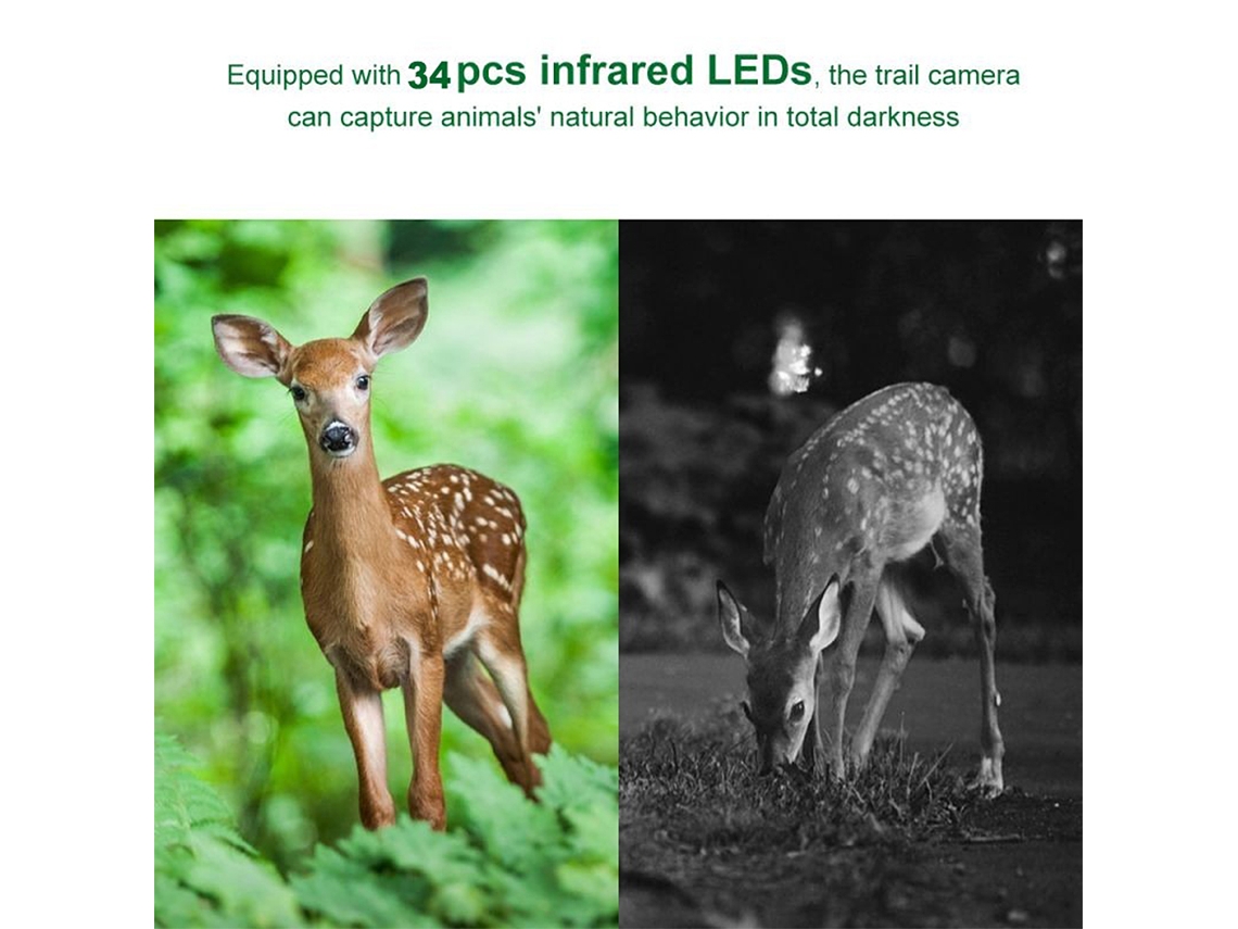 2026-cámara De Caza Trail 12mp 1080p Activada Por Movimiento Con Visión Nocturna Infrarroja Para Observación De Vida Silvestre Y Seguridad Finca