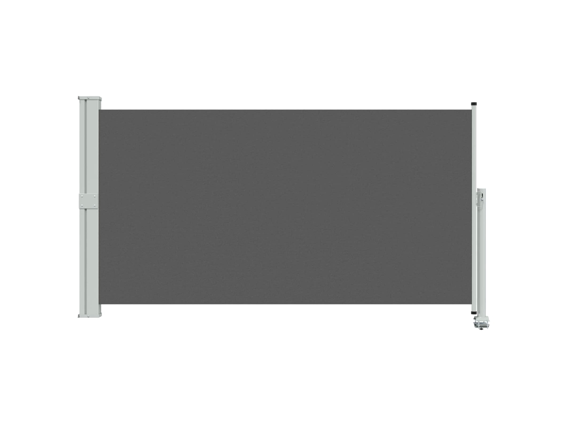Maison Exclusive - Toldo Lateral Gris Antracita 300 X 160 Cm
