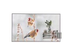 Pantalla OLED transparente Full HD de 55" (55EW5P M), color plateado, para señalización LG
