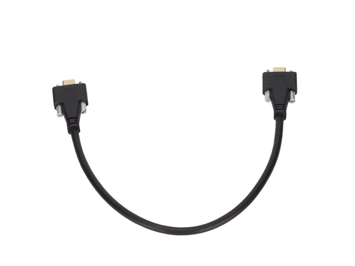 Cabo Usb C 3.1 Macho Para Macho 0.3m 10gbps Carregamento Rápido 5a 4k 60hz Com Buracos De Parafuso