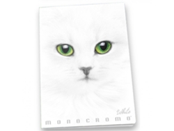 PIGNA Monocromo Cuaderno Y Block A4 19 Hojas Blanco