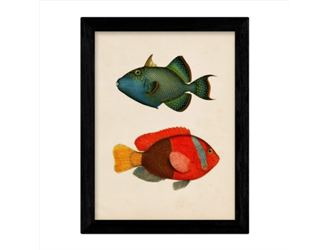 Set De 4 Láminas De Peces Coloridos. Mediterraneo. Composicion De 11 Peces Diferentes, Fondo Papel Antiguo Vintage. Sin Marco
