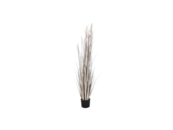 Planta de PVC gris claro con forma de caña, 45x45x150cm ALEXANDRA HOUSE LIVING