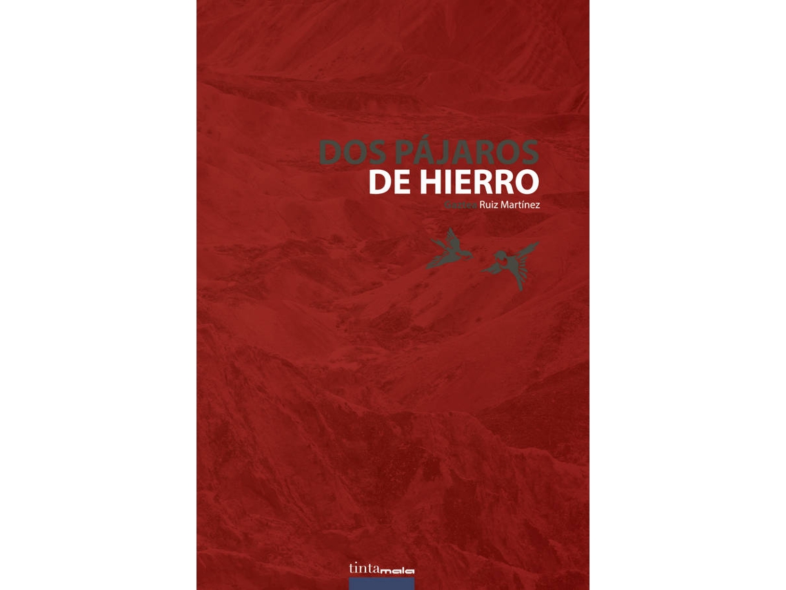 Libro Dos pájaros de hierro de Gaztea Ruiz Martínez (Español - 2019)