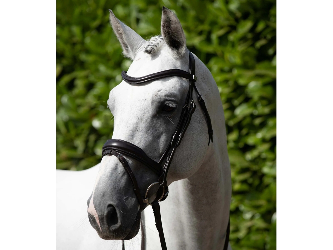 Cabezada anatómica con cabestro combinado inglés Premier Equine Rizzo