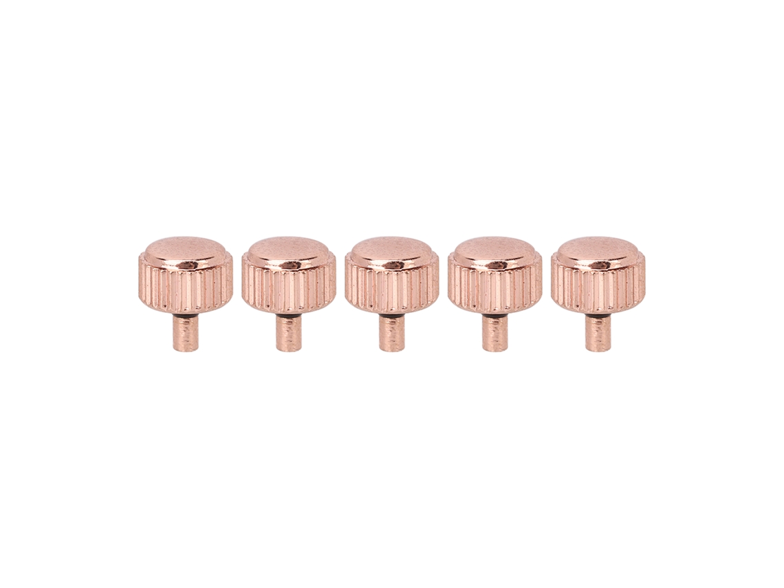 Kit De Herramientas Profesionales De Acero De 5 Piezas Para Reparación De Manecillas De Reloj De 4,5 Mm/0,18 Pulgadas