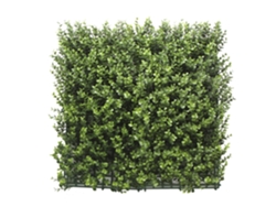 Jardín Vertical Buxus Pack 4 Piezas 50x50cm