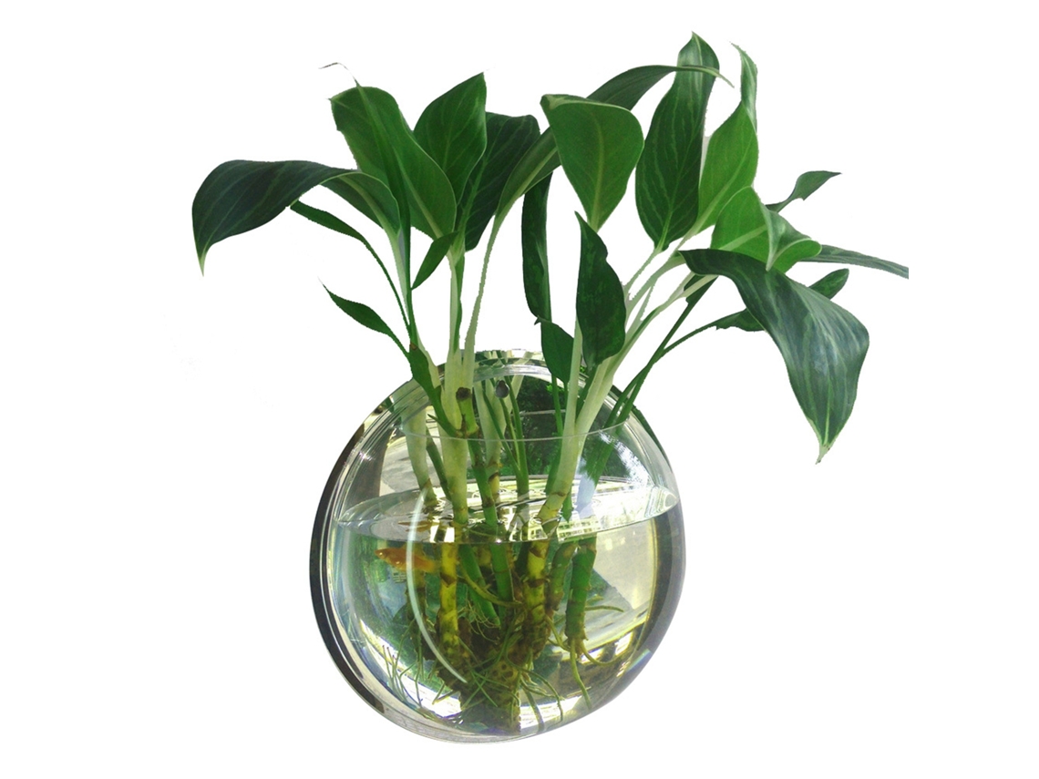 Acuario De Acrílico Para Montaje En Pared, Ideal Para Peces Y Plantas. Pecera Decorativa Colgante.