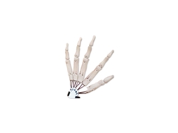 Guantes Articulados De Halloween Para Disfraces Y Fiesta Con Articulaciones Flexibles