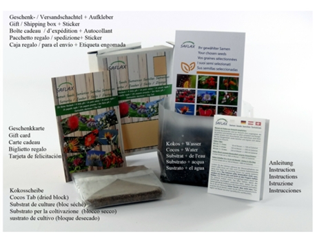SAFLAX Set de regalo Pamplina 1000 semillas Con caja de regalo, etiqueta de envío, tarjeta de regalo y sustrato de cultivo. Stellaria media