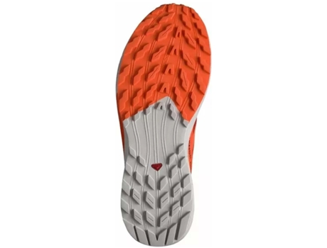 Zapatillas de Hombre para Trail SALOMON Sense Ride Cinza Multicolor (46)