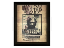 Cartel Harry Potter 3D Harry / Sirius