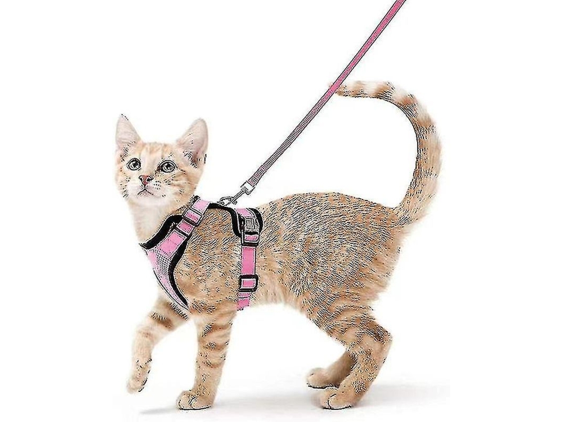 2026-arnés Y Correa Para Gatos, Arnés De Chaleco Ajustable Anti Escape, Transpirable Y Suave Para Paseos