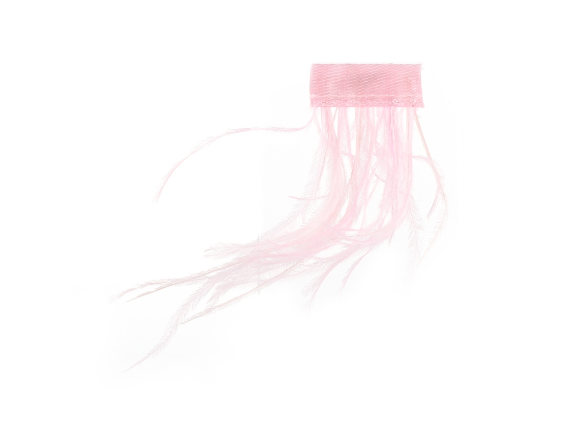 Adesivos De Unha Decorativos De Penacho Para Manicure Diy - Ferramenta De Beleza Em Rosa Com 10 Cores