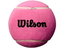 Pelota de tenis WILSON Roland Garros 5 Mini Jumbo