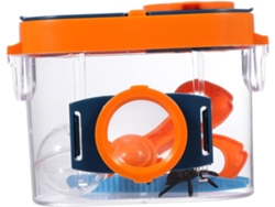 Caja de observación de insectos con doble lente para niños, tamaño mediano, material ecológico. CHABERLU