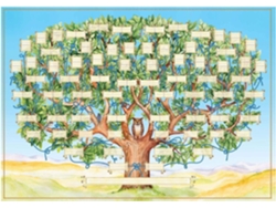 Árbol Genealógico Diagrama Completar 6 Generaciones Genealogía Historia Familiar Ascendencia Póster Decoración
