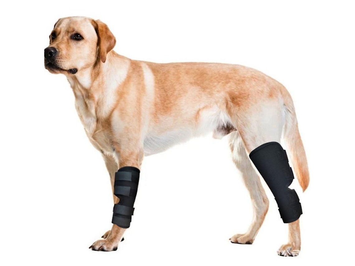2026-mimigo Par De Aparatos De Apoyo Para Patas Traseras De Perros Con Resortes Metálicos Para Estabilizar Y Ayudar En Heridas Y Esguinces