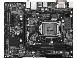 Placa Base ASROCK H81M-DGS (Socket LGA1150 - Intel H81 - Micro-ATX)