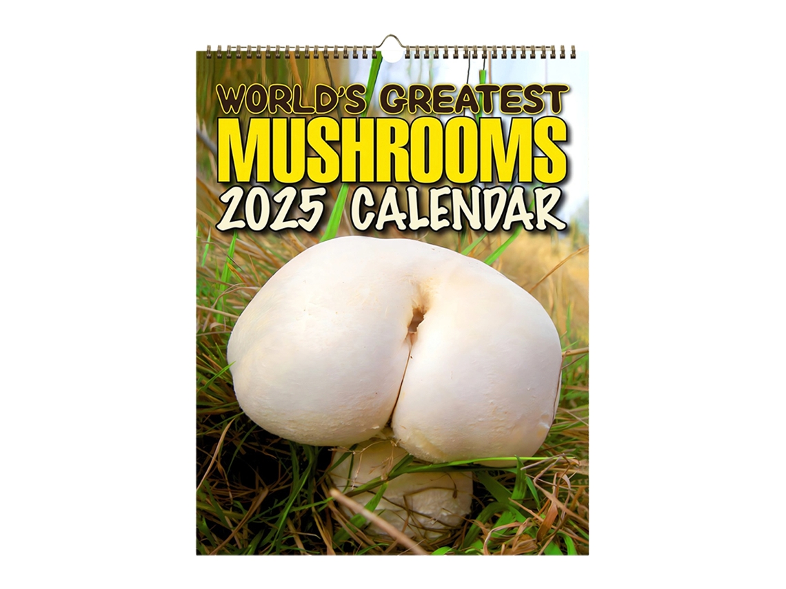 VVJIJILLY Calendário De Parede Com Design Artístico Floral