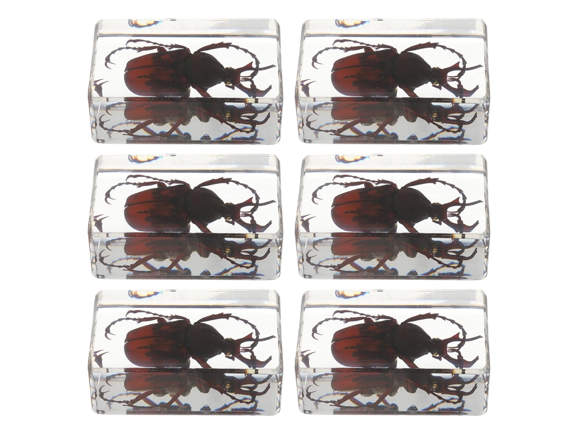 Besportble Conjunto De Biología Y Resina 4.40 X 2.90 X 1.80 Cm -material: Resina, Calidad Artesanal