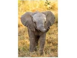 Puzzles CLEMENTONI 104 Wwf Pequeño Elefante