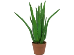 Planta Artificial EUROPALMS Aloe Vera Plant (Verde - 63 cm)