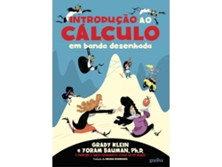 Libro Introdução ao Cálculo em Banda Desenhada de Grady Klein (Portugués do Brasil)