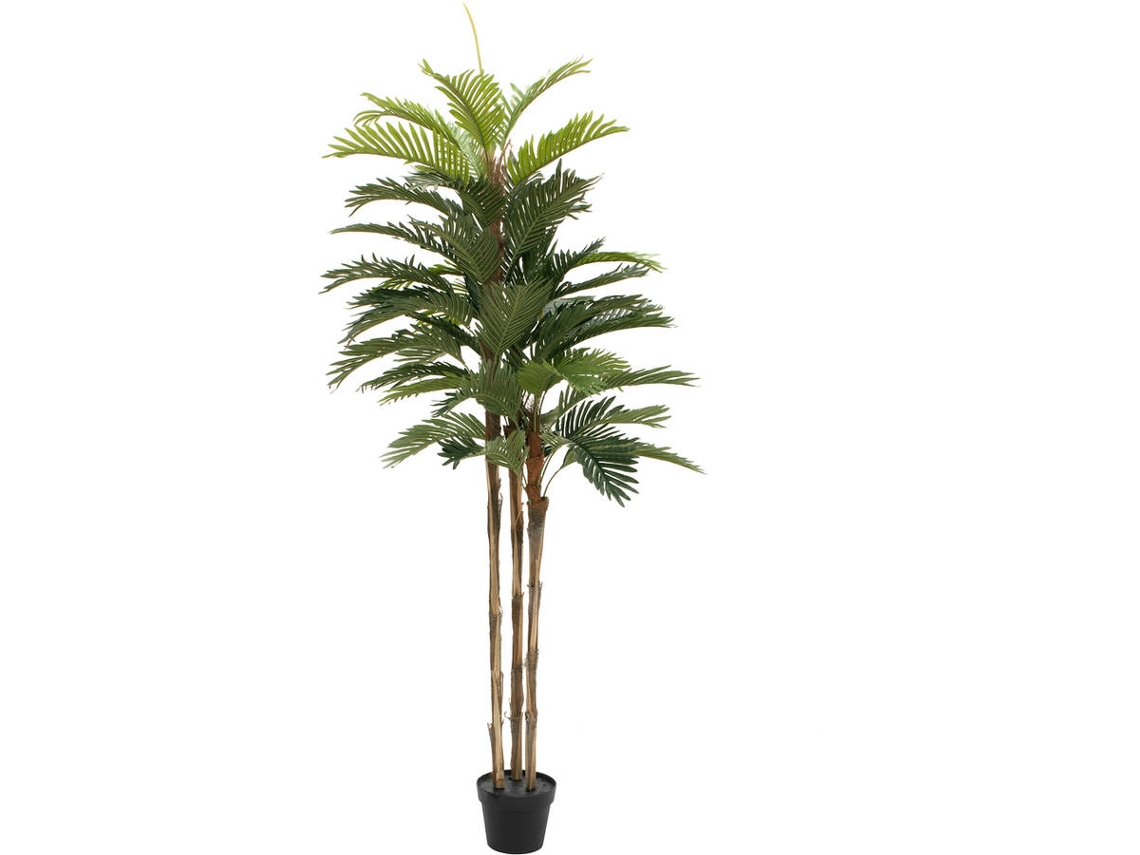 Planta Artificial EUROPALMS Kentia Palm (Verde - 150 cm)