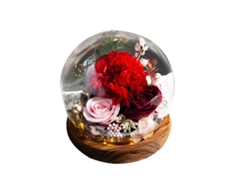 Rosa Eterna en Cúpula de Cristal, Flores Frescas Iluminadas, Regalo de Cumpleaños para Mujeres y Madres