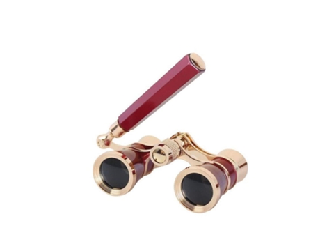 Prismáticos CHRONUS WYJ22817-R10 Rojo 3X25
