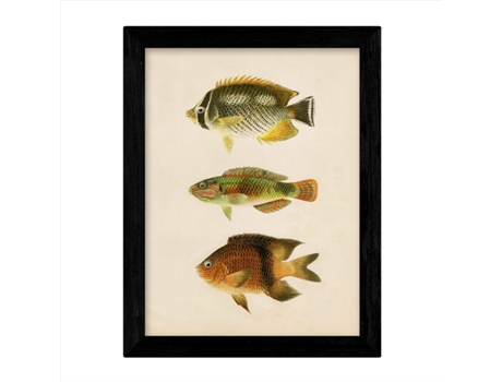 Set De 4 Láminas De Peces Coloridos Efecto Vintage. Composicion De 10 Peces Diferentes, Fondo Papel Antiguo Vintage. Sin Marco