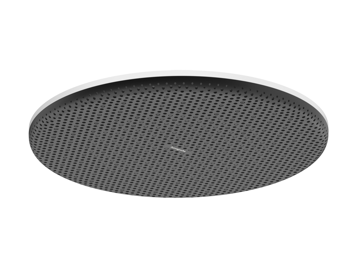 Ducha de techo Raindance Alive S 300 1jet, 24520700, blanco mate Hansgrohe