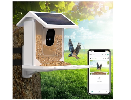 Comedero para pájaros con cámara, grabación automática y guardado de vídeos de aves, cámara de observación de aves con visión nocturna clara, cámar...