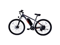 Bicicleta eléctrica M29, motor de 250 W, batería de 48 V y 17,5 Ah, ruedas de 29", frenos mecánicos, color gris