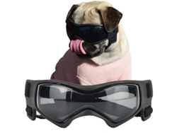 2026-gafas Para Perros Pequeños Y Medianos, Protección Uv Antiniebla Ajustable Para Corgi Pomeranian Chihuahua