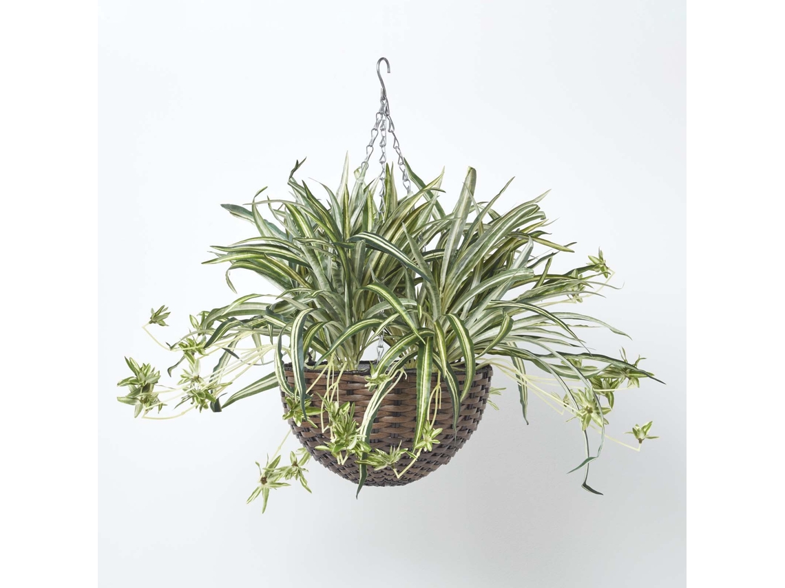 Planta araña colgante artificial Homescapes, 60 cm