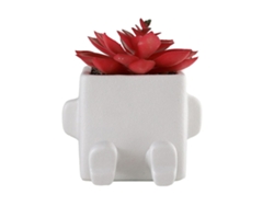 Maceta de cerámica Baok para suculentas: una hermosa maceta para plantas suculentas, ideal para la decoración de interiores y exteriores.