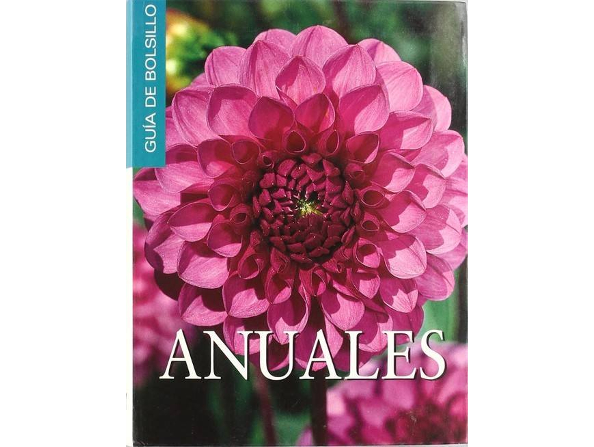 Libro Anuales de Equipo Editorial Quantum (Español)